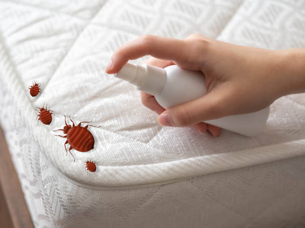 Best Pest Control for Hotels  in Seaville, NJ